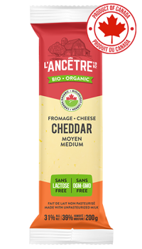 Medium Cheddar