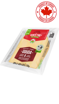 Gouda