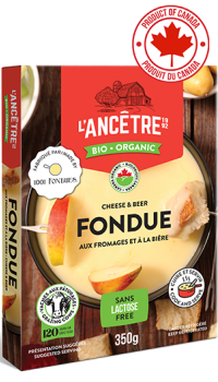 Cheese and Beer Fondue